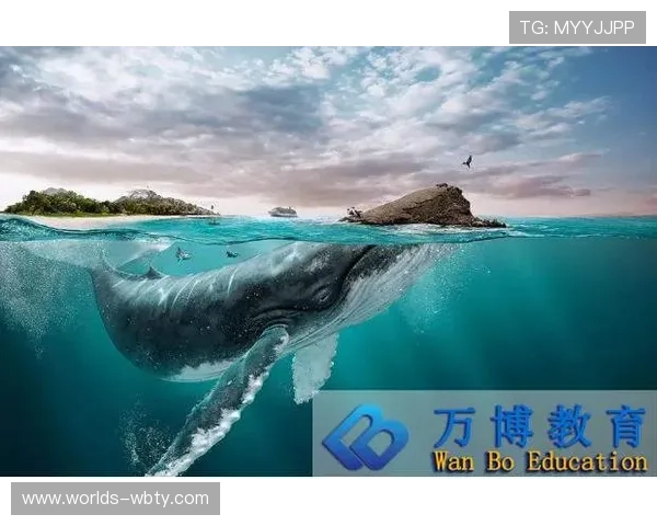 万博平台：全面解析其在国际博彩市场中的竞争优势